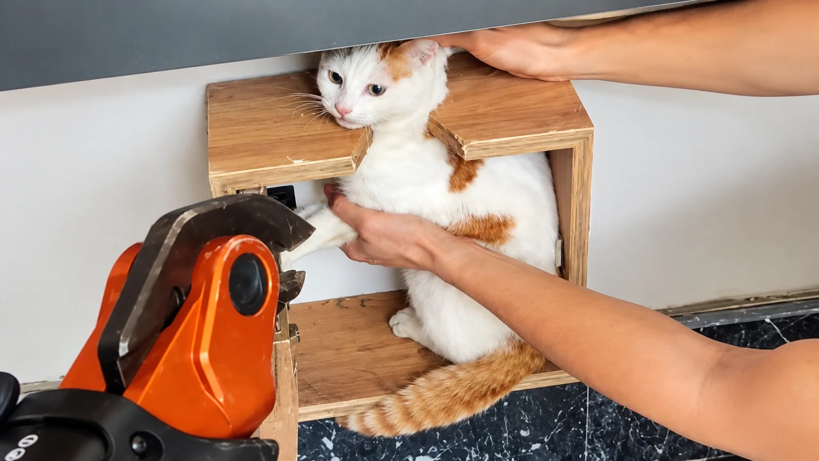 Battalgazi’de bir apartmanın posta kutusuna girerek mahsur kalan kedi, itfaiye