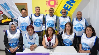 Cansu Can, Sayıştay raporundaki mali verilere ilişkin kamu kaynaklarının kullanımının