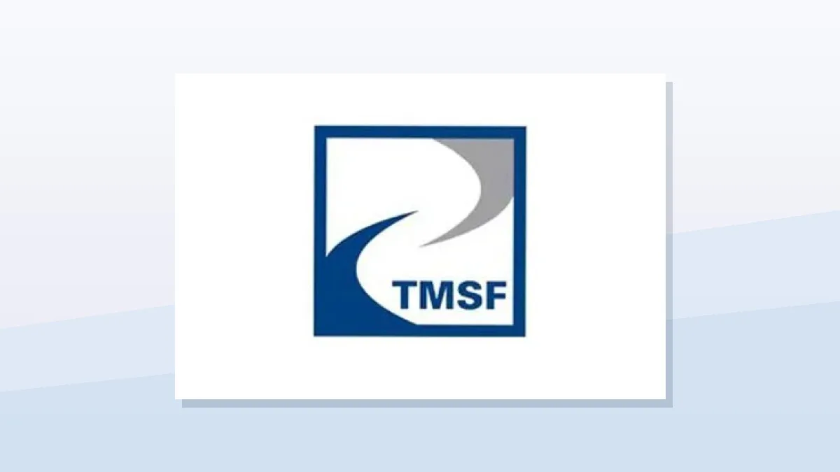 TMSF, İstanbul merkez teşkilatında denetçi, uzman yardımcısı ve avukat kadroları